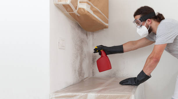 Professional Attic Mold Remediation technician working in Mount Royal, NJ
