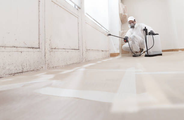 24/7 Emergency Attic Mold Remediation experts in Mount Royal, NJ